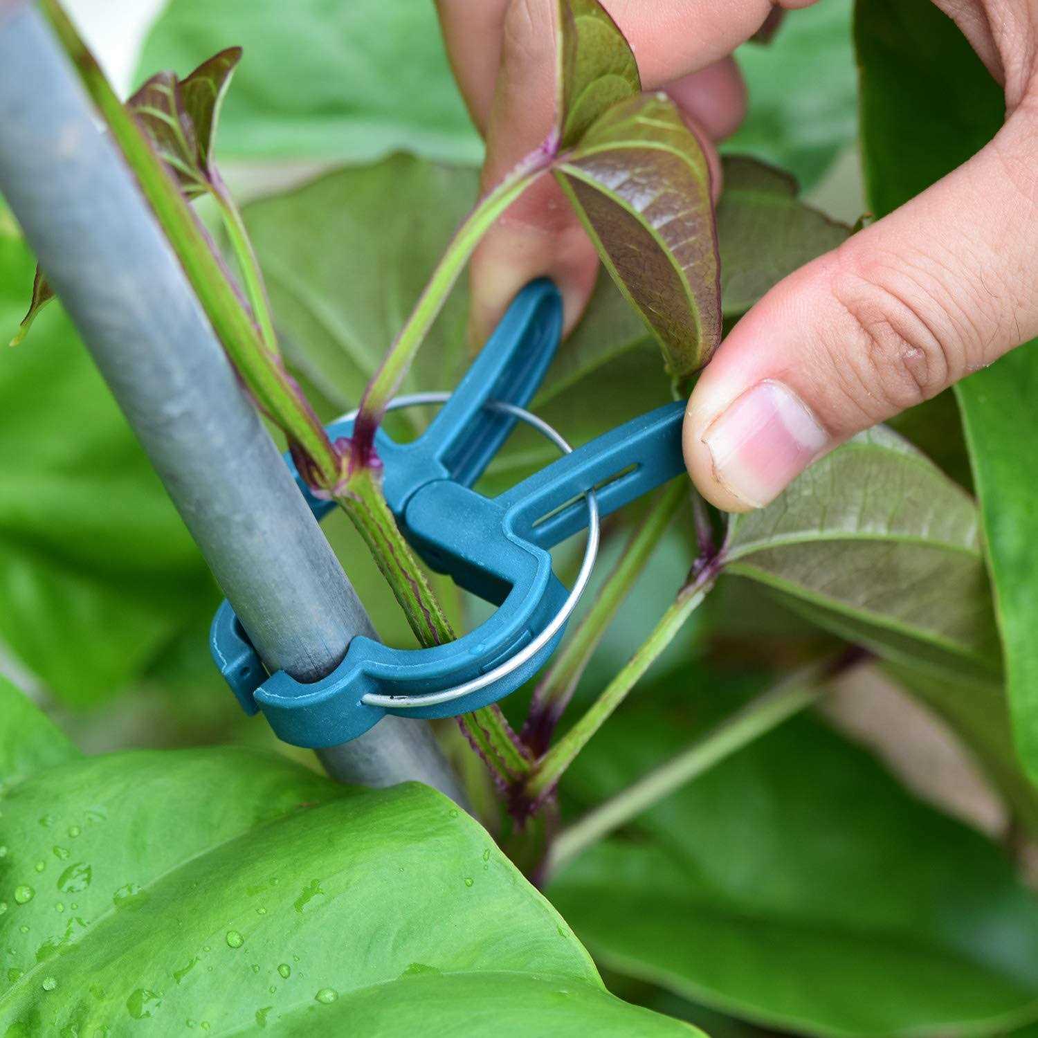 PERSZEN 60PCS Plant Clips 2 Sizes Adjusting Reusable Garden Plant Supports Clips for Supporting Stems of Flower Vine Vegetables Tomatoes Climbing - Image 4