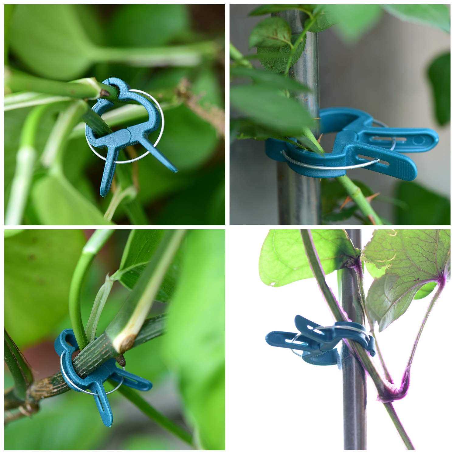 PERSZEN 60PCS Plant Clips 2 Sizes Adjusting Reusable Garden Plant Supports Clips for Supporting Stems of Flower Vine Vegetables Tomatoes Climbing - Image 5