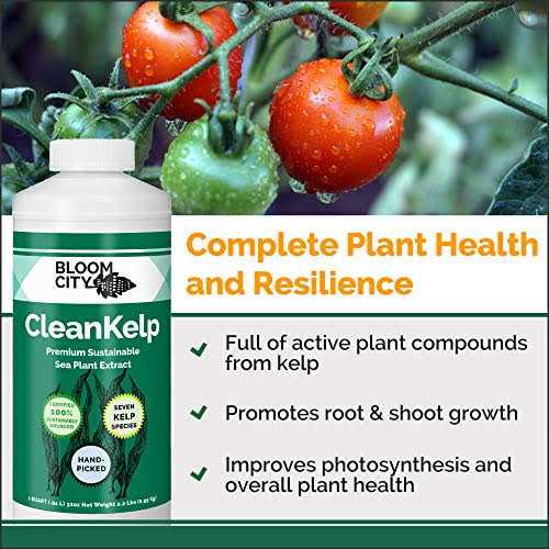 Organic Liquid Seaweed and Kelp Fertilizer Supplement by Bloom City - Image 2