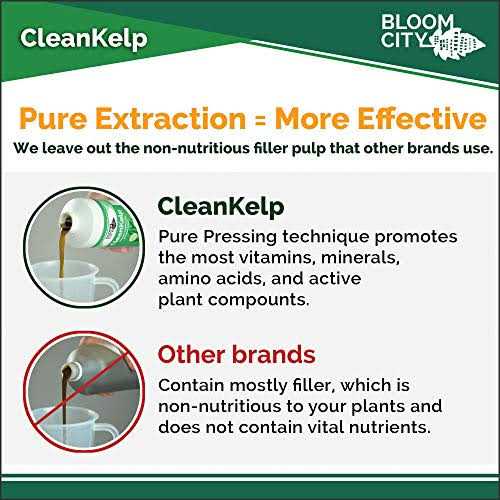 Organic Liquid Seaweed and Kelp Fertilizer Supplement by Bloom City - Image 3