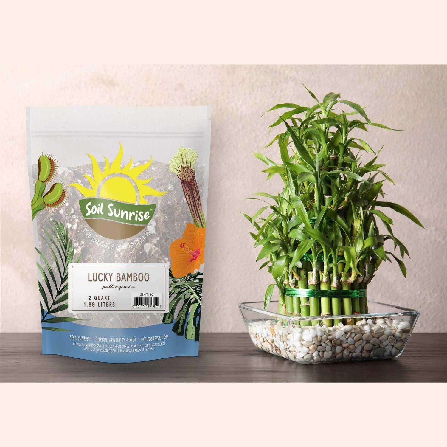Soil Sunrise Lucky Bamboo Plant Potting Mix - Image 5