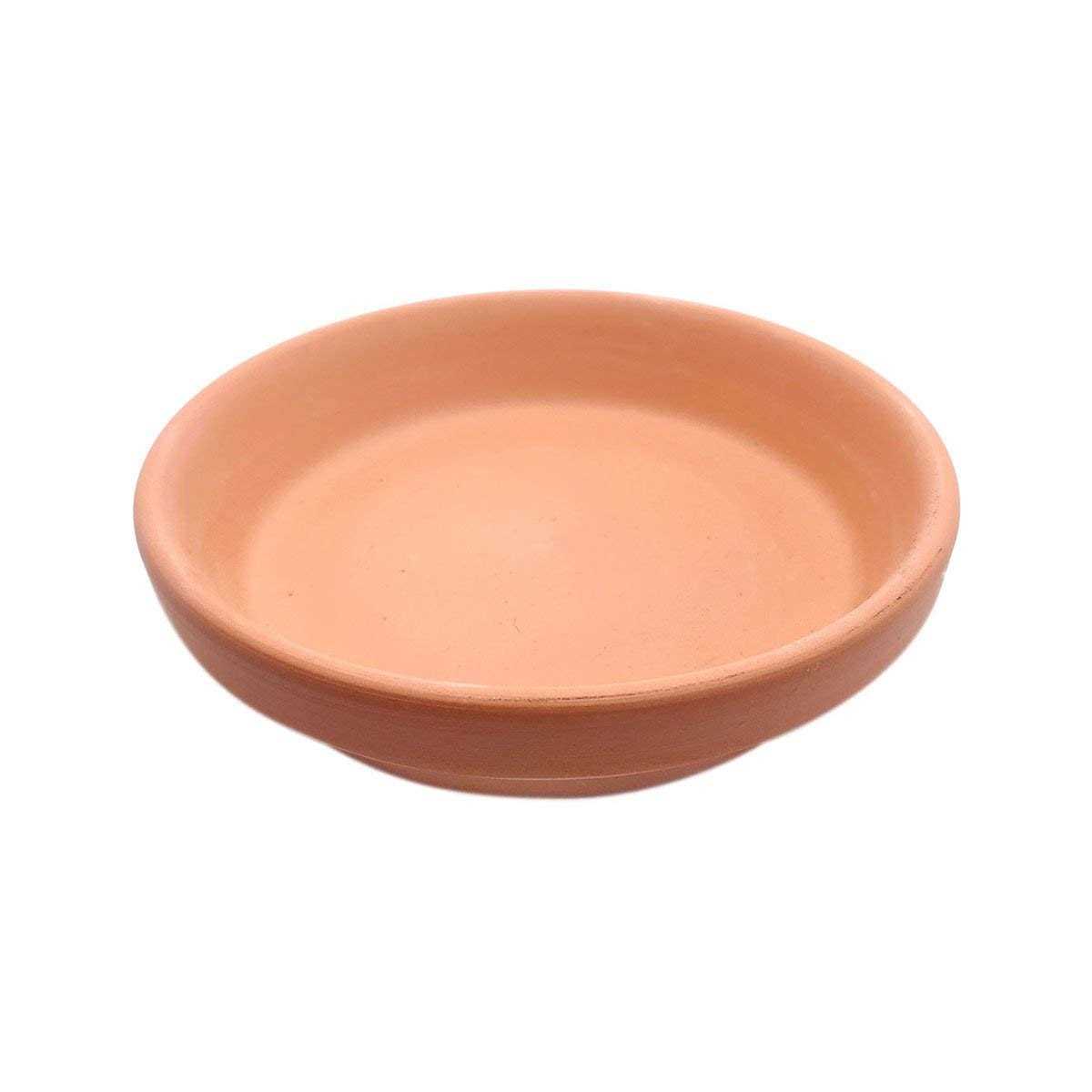 Succulents Box Terracotta Pot Saucer