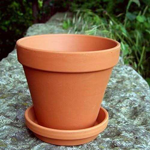 Succulents Box Terracotta Pot Saucer - Image 2