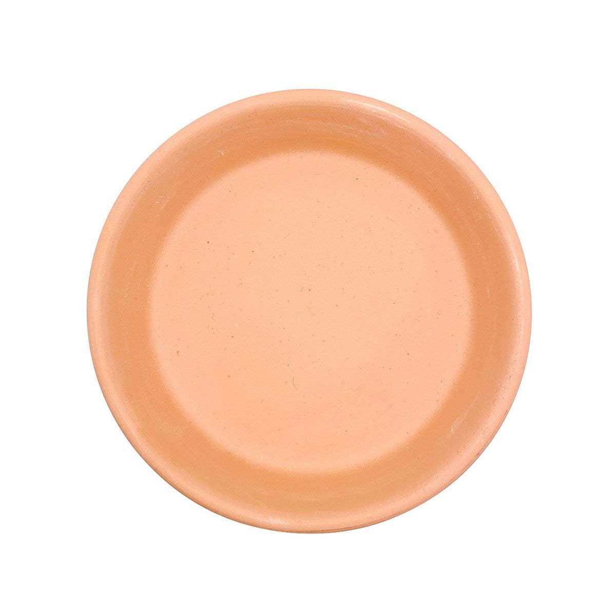 Succulents Box Terracotta Pot Saucer - Image 3