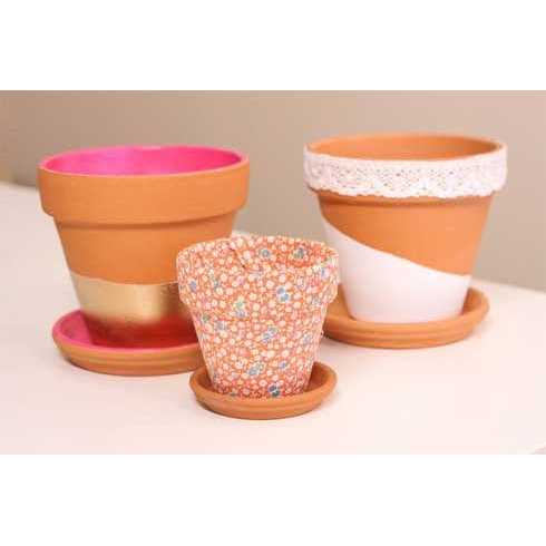 Succulents Box Terracotta Pot Saucer - Image 4