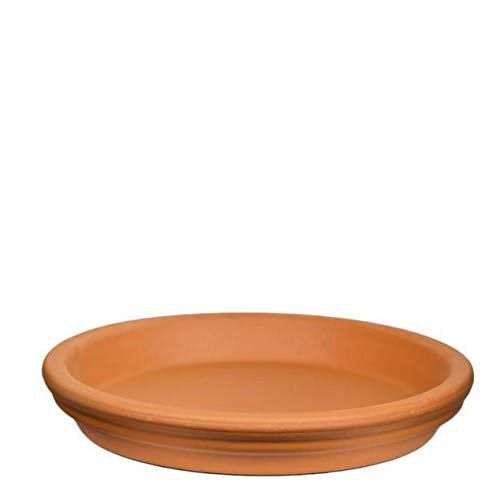 Succulents Box Terracotta Pot Saucer - Image 5