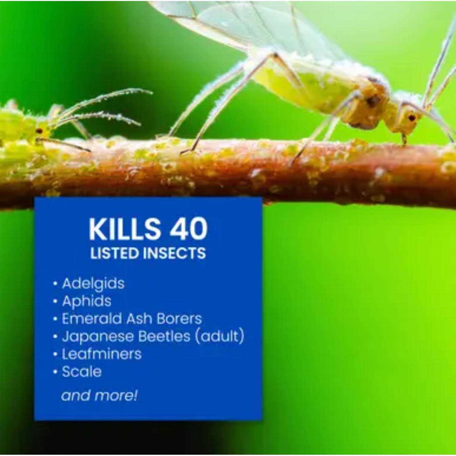 BioAdvanced Tree & Shrub Protect & Feed - Image 5