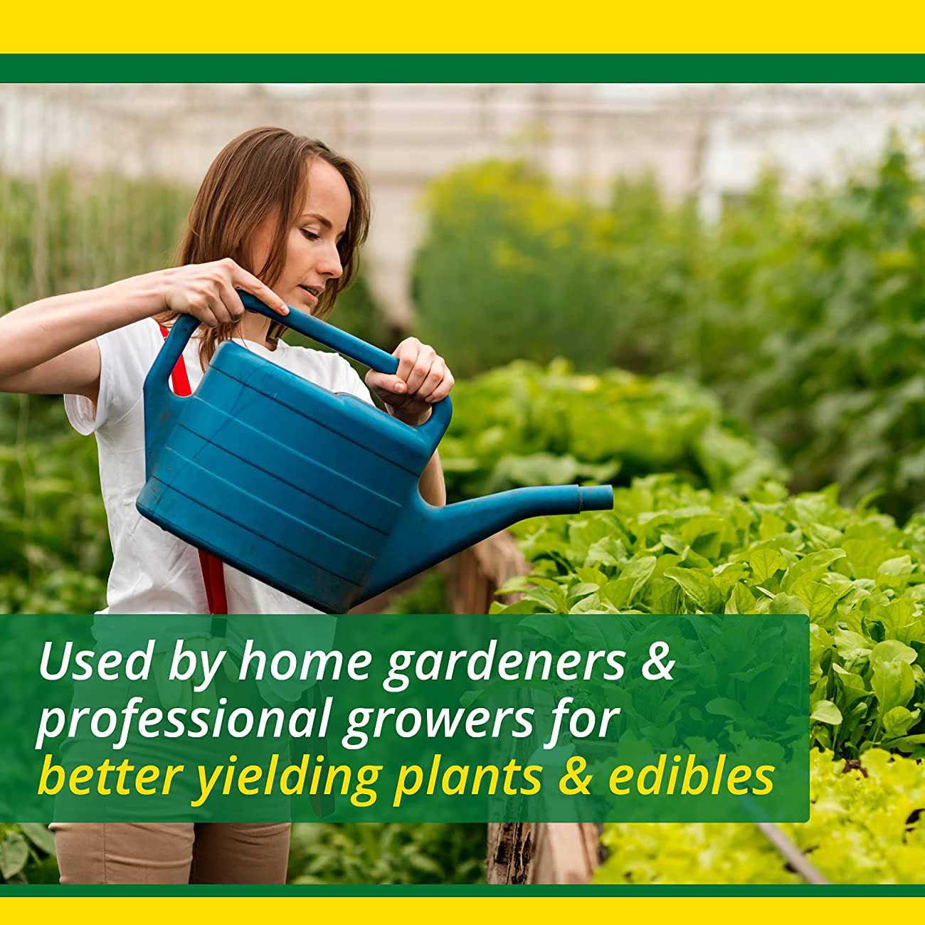 SUPERthrive Organic Liquid Plant Food 1 qt - Image 4