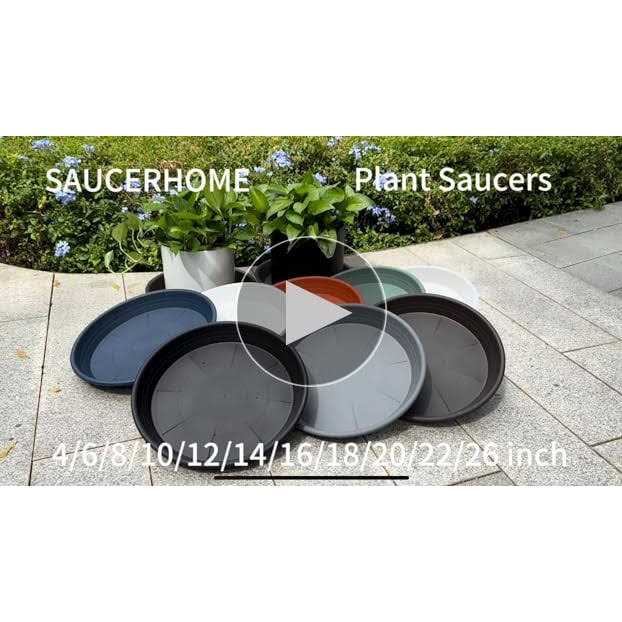Saucerhome 5 Packs Plant Saucer Pot Tray 6 8 10 12 14 16 Inch Plastic Flower Planter Saucers and Drip Trays for Indoors Outdoors - Image 5
