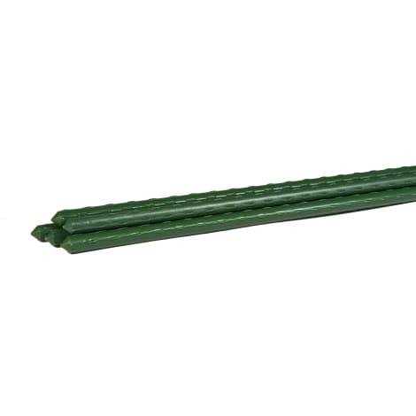 Gardener's Blue Ribbon Sturdy Stakes - Image 2