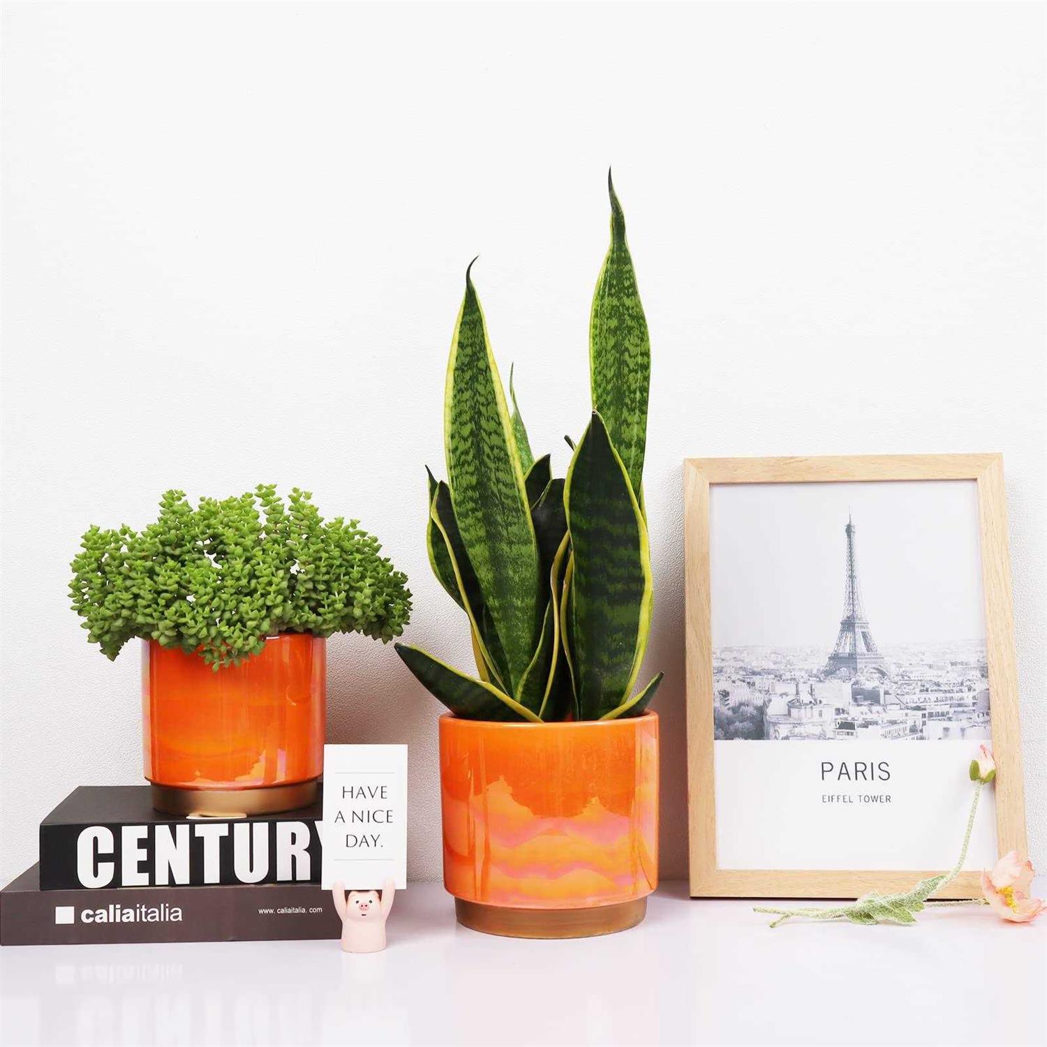 Gepege Ceramic Indoor Pots For Plants Planter With Drainage Hole - Image 4