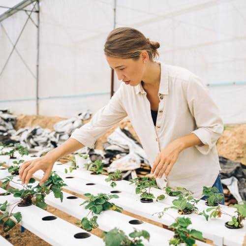 Horticube 276-Cell Grow Cubes for 3 828 Total Cells - Image 2