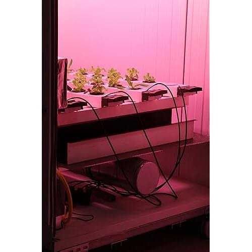Horticube 276-Cell Grow Cubes for 3 828 Total Cells - Image 4