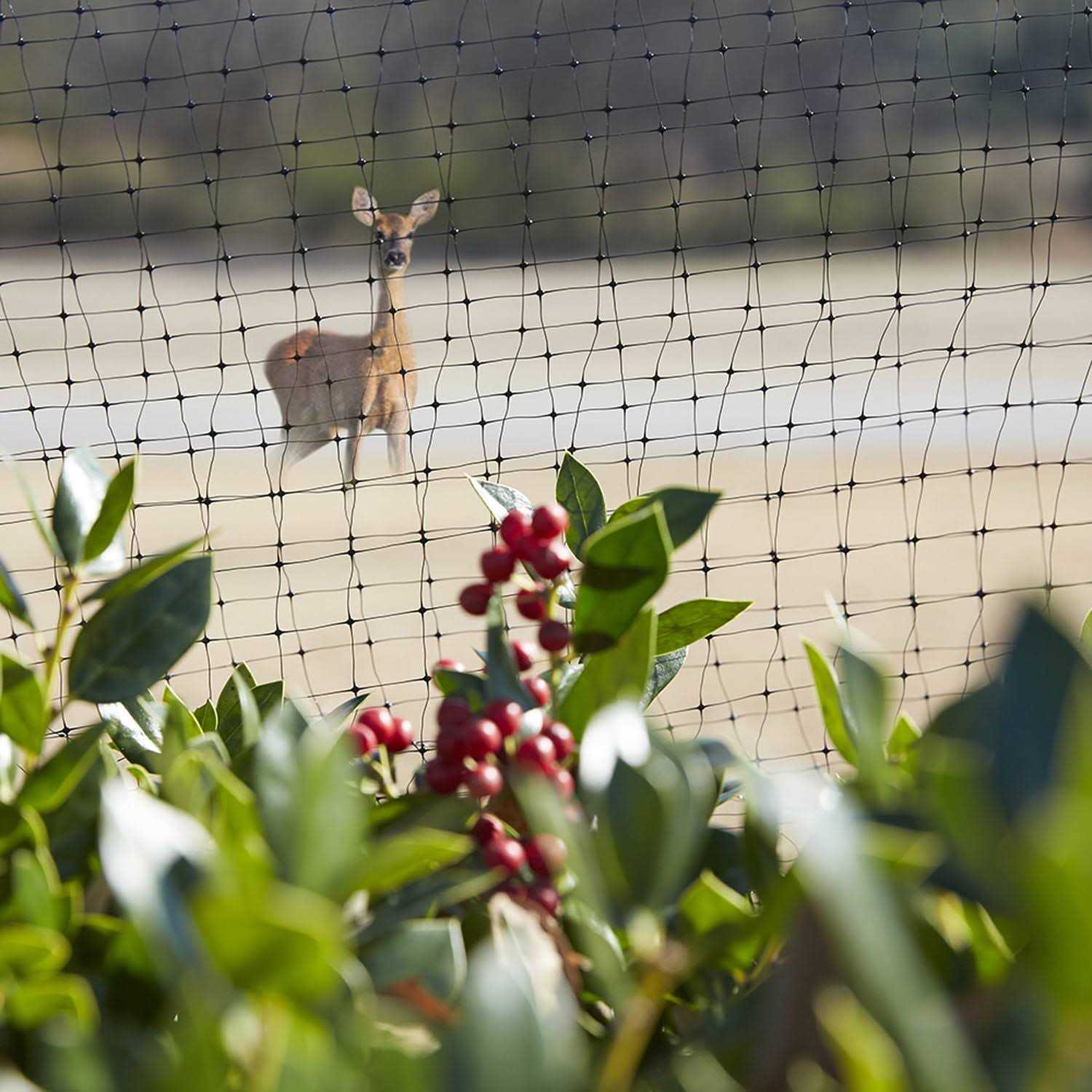Greenscapes Garden Netting - Image 4