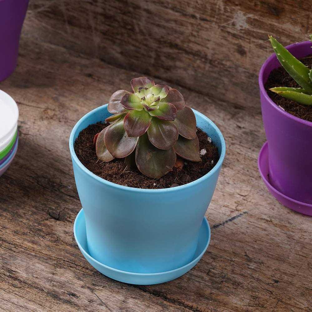 TDHDIKE 10 Pcs Plastic Planters Indoor Pots Mini Flower Seedlings Nursery Flower Pot with Pallet - Image 3
