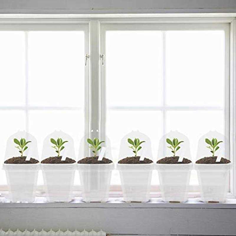 EBaokuup 10PCS Clear Plant Nursery Pots with Humidity Dome - Image 2